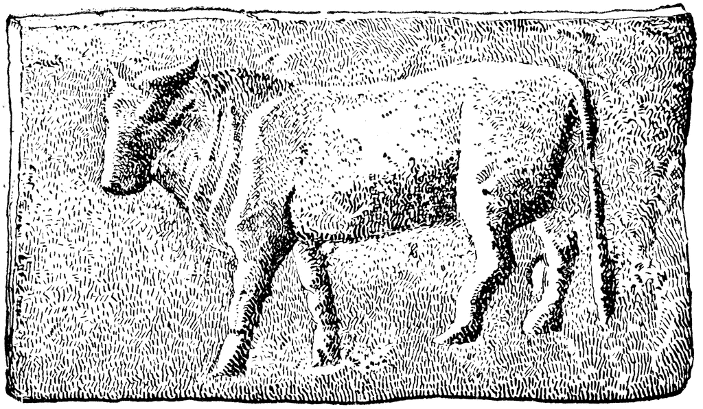 Monedă romană